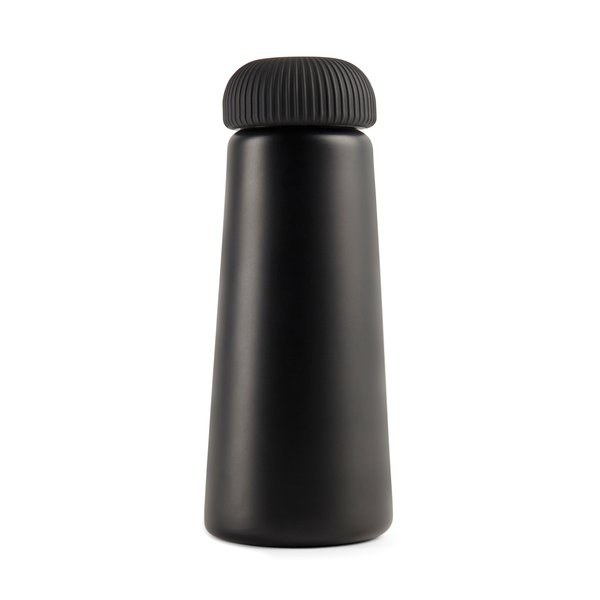 Vinga V4300 - VINGA Erie RCS steel vacuum bottle 450 ML