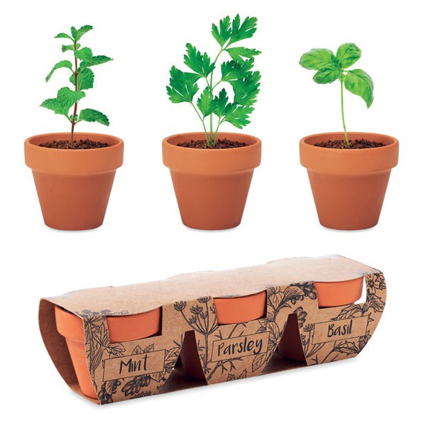 FLOWERPOT Terakotová sada 3 bylinek - GiftRetail MO6145