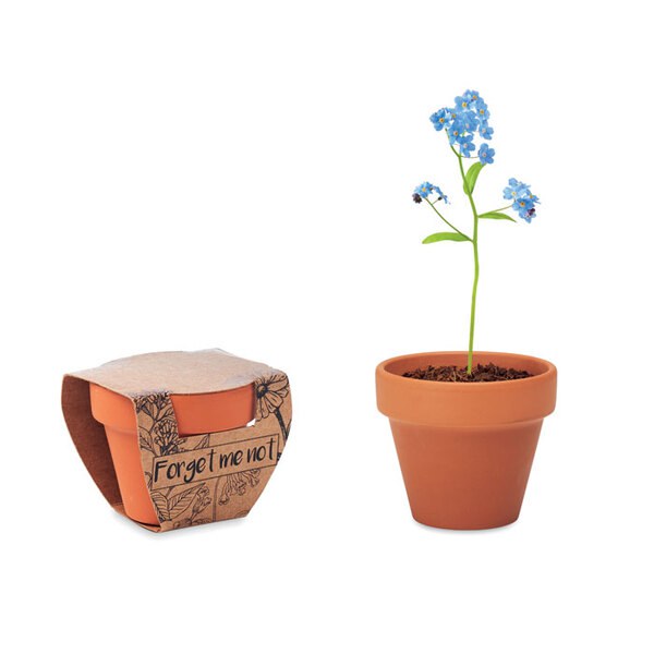 FORGET ME NOT Terakotový květináč - pomněnka - GiftRetail MO6146