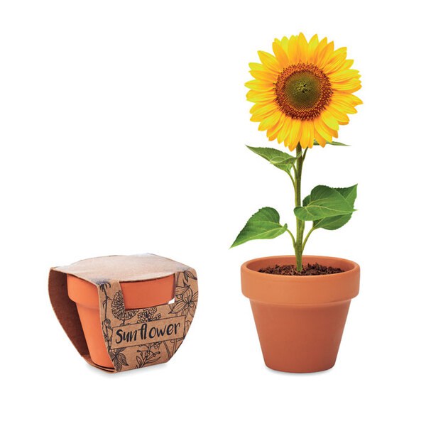 SUNFLOWER Terakotový květináč slunečnice - GiftRetail MO6147