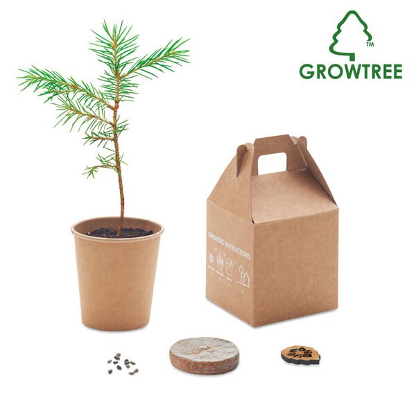 GROWTREE™ Set vyrobený z borovice - GiftRetail MO6228