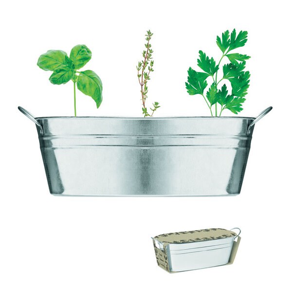 MIX SEEDS Vanička se semínky bylinek - GiftRetail MO6497