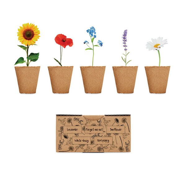 FLOWERS Sada na pěstování květin - GiftRetail MO6500