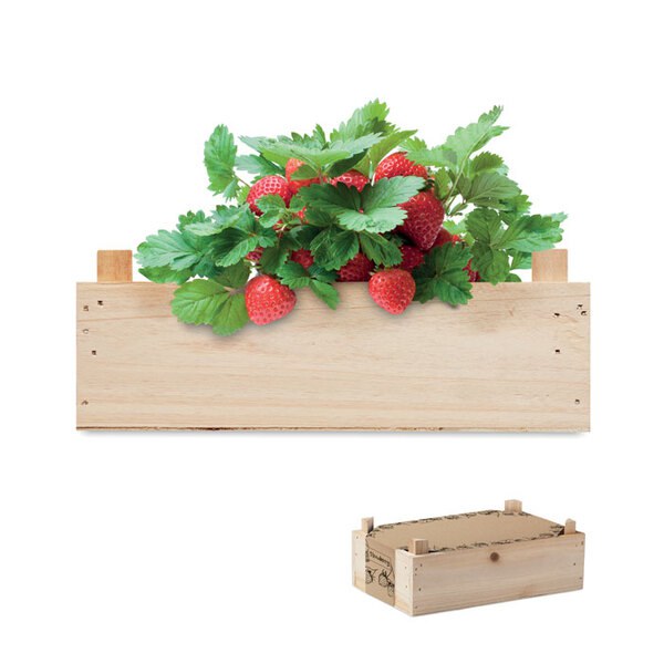 STRAWBERRY Jahodový set v přepravce - GiftRetail MO6506