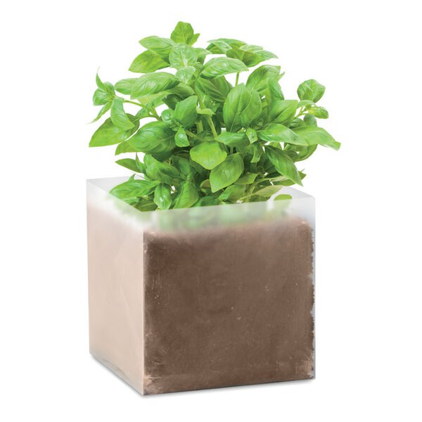 BASIL Kompost se semínky Bazalka - GiftRetail MO9545