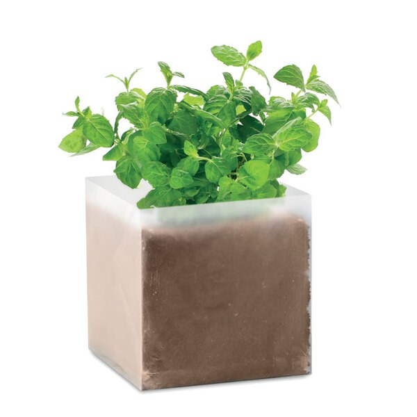 MINT Kompost se semínky Máta - GiftRetail MO9546