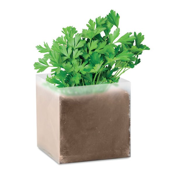 PARSELY Kompost se semínky petržele - GiftRetail MO9547