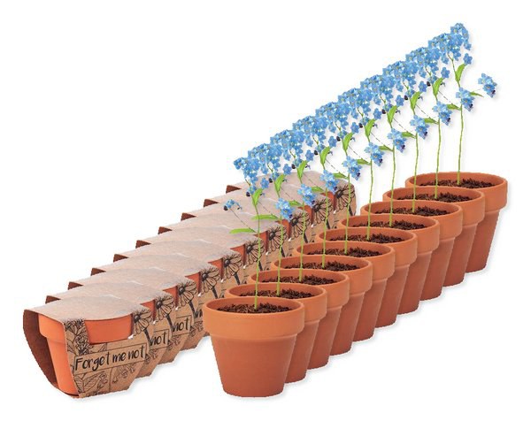 Balení 10 ks GiftRetail MO6146 - FORGET ME NOT Terakotový květináč - pomněnka